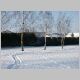 Cliquer pour visualiser la photo