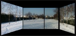 Cliquer pour visualiser la photo